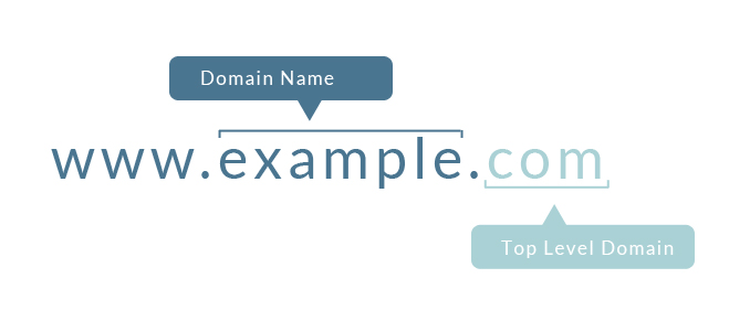 The-Anatomy-of-a-Good-Domain-Name